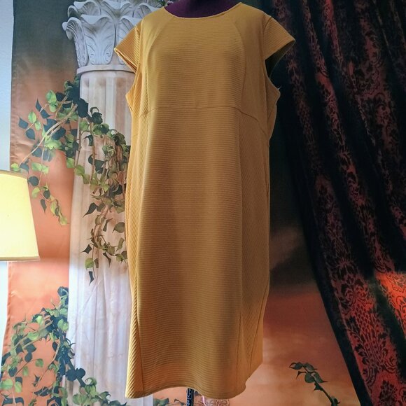 Cato Dresses & Skirts - NWOT: Cato Sze 26W Mustard Ribbed Dress